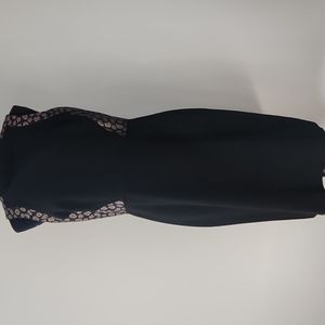 Ann Taylor Animal Print Dress